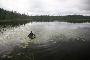 One of the Finnish Ponds